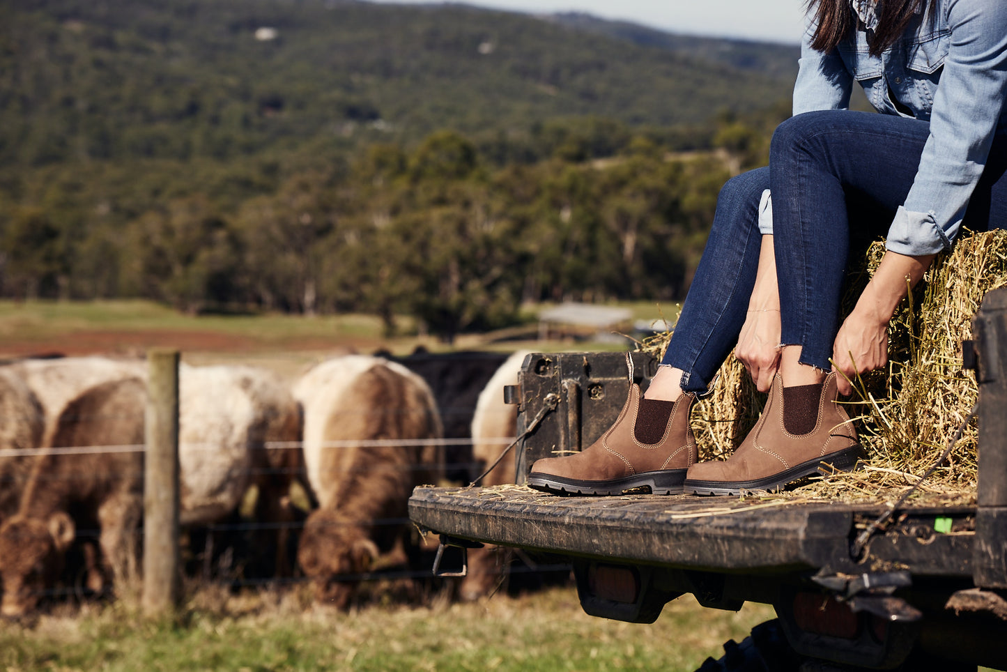 Mongrel K9 Elastic Sided Non-Safety Boot - Vintage Brown
