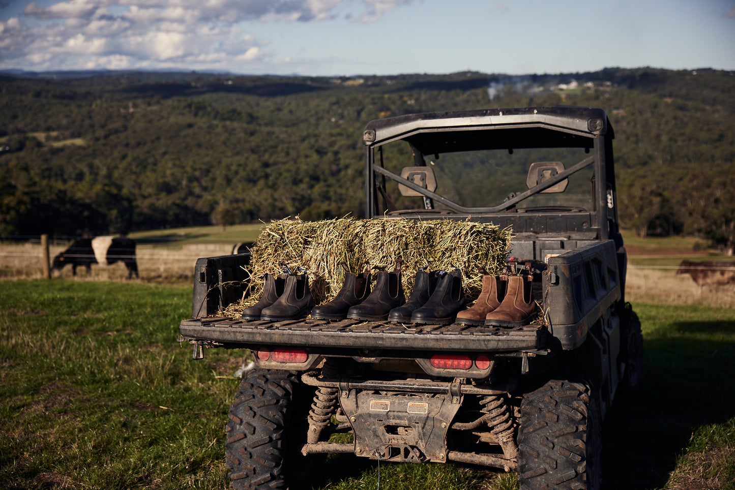 Mongrel K9 Elastic Sided Non-Safety Boot - Cloudy Grey