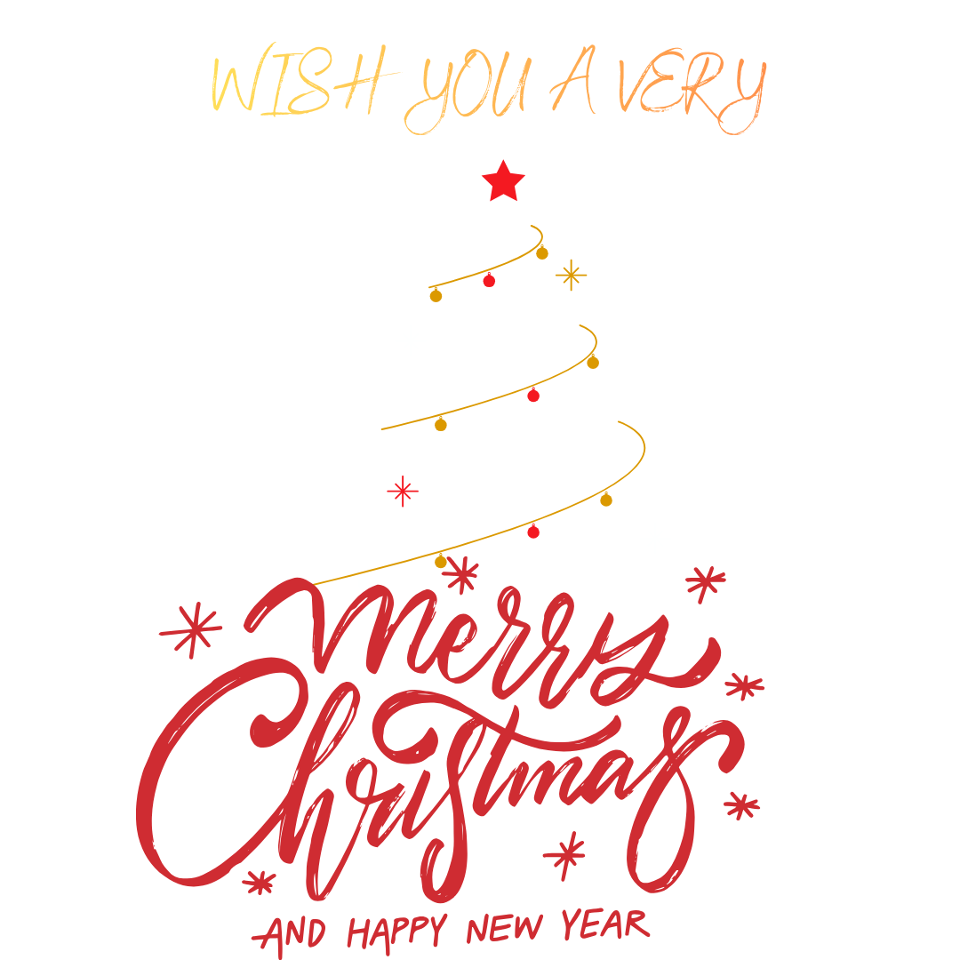 Customised Ladies Christmas Tee