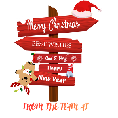 Customised Ladies Christmas Tee